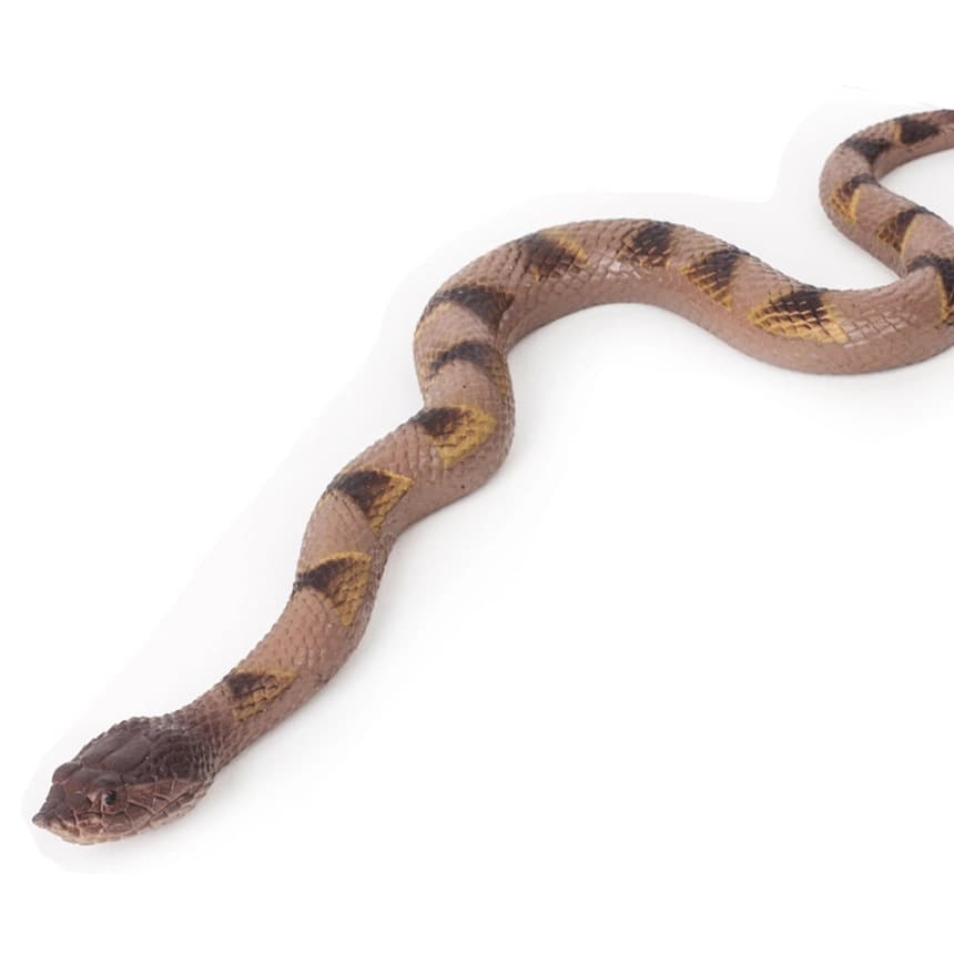 Zmija                                                      1