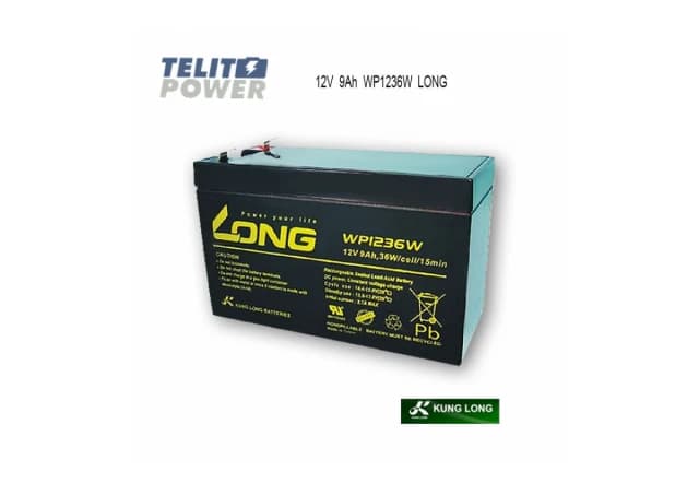 12V 9Ah WP1236W LONG F2