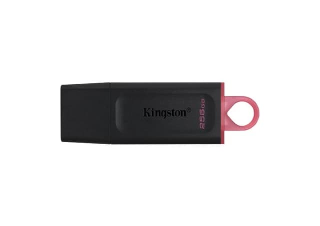 FlashDrive 256GB Kingston DTXON/256GB USB3.2 Gen 1