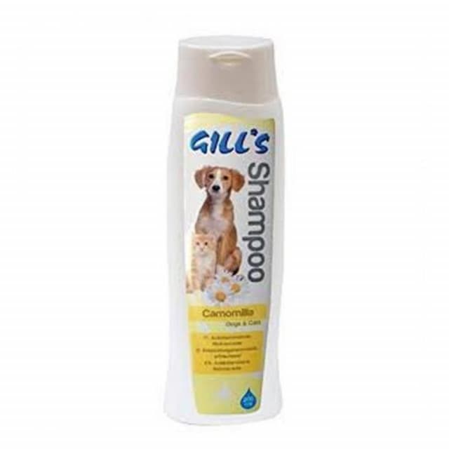 GILLS sampon kamilica 200ml