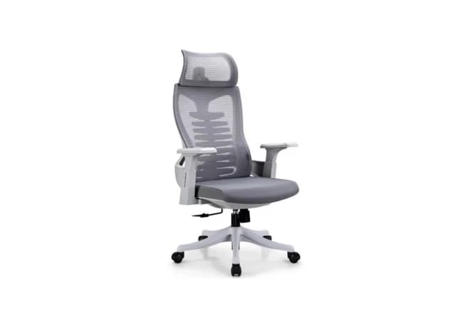 Ergonomska Radna stolica B 505 G siva