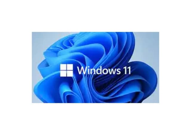 Microsoft Windows 11 Pro 64bit Eng Intl OEM DSP DVD (FQC-10529)