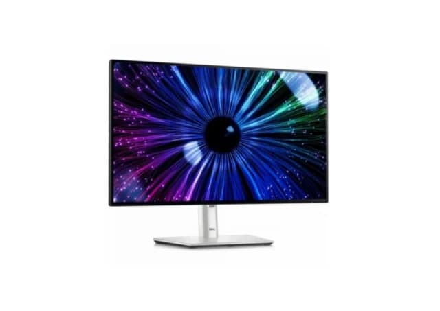 DELL 24 inch P2425E 100Hz USB-C Professional IPS monitor 