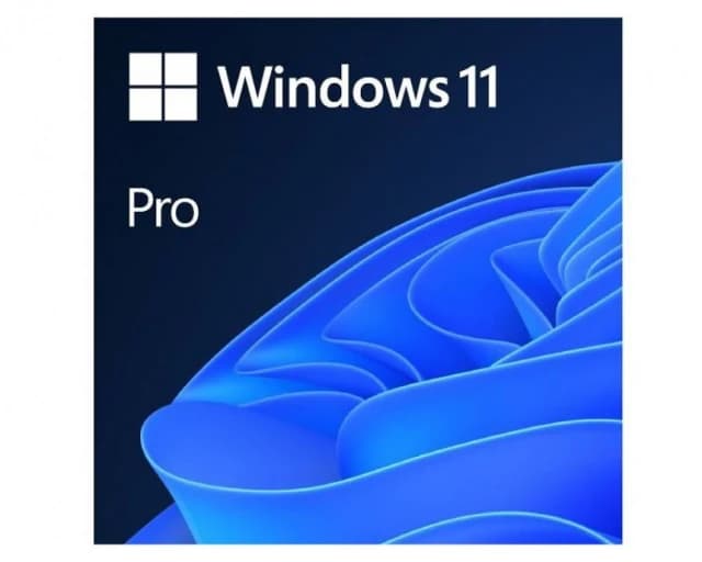 Software GGK Win.11Pro 64Bit Eng Int/ DVD/1 PC(4YR-00316)