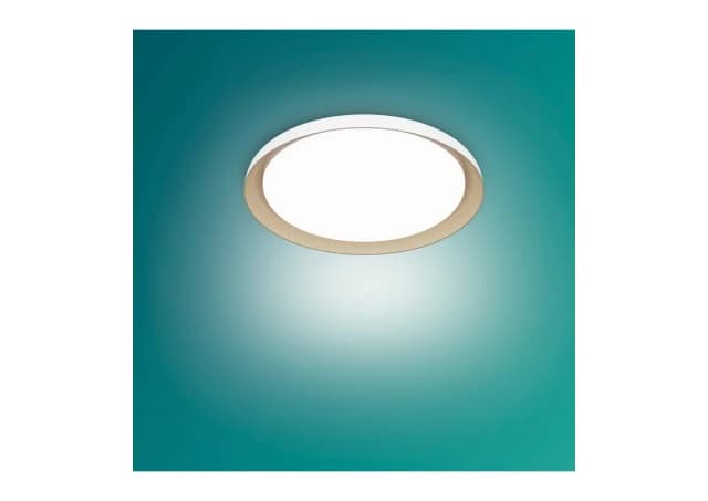 PEBBLO UE PLAFONSKA LAMPA SS BELA 10W 27K,929004116601,PHILIPS