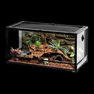 Terarijumi - Teraristika