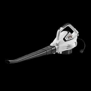 Električni duvači lišća