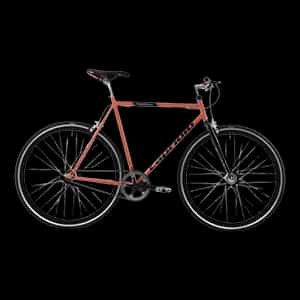 Fixie i Singlespeed bicikli