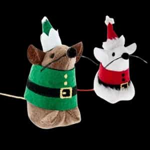 Novogodišnji program - Mačke